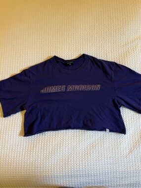 Hype and Vice JMU crop top 💜
